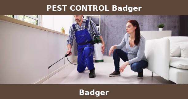 PEST CONTROL Badger